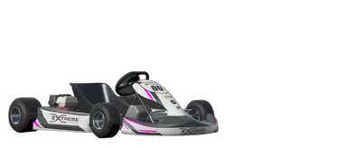 Kart -4 stroke - Race