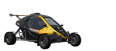Kartcross